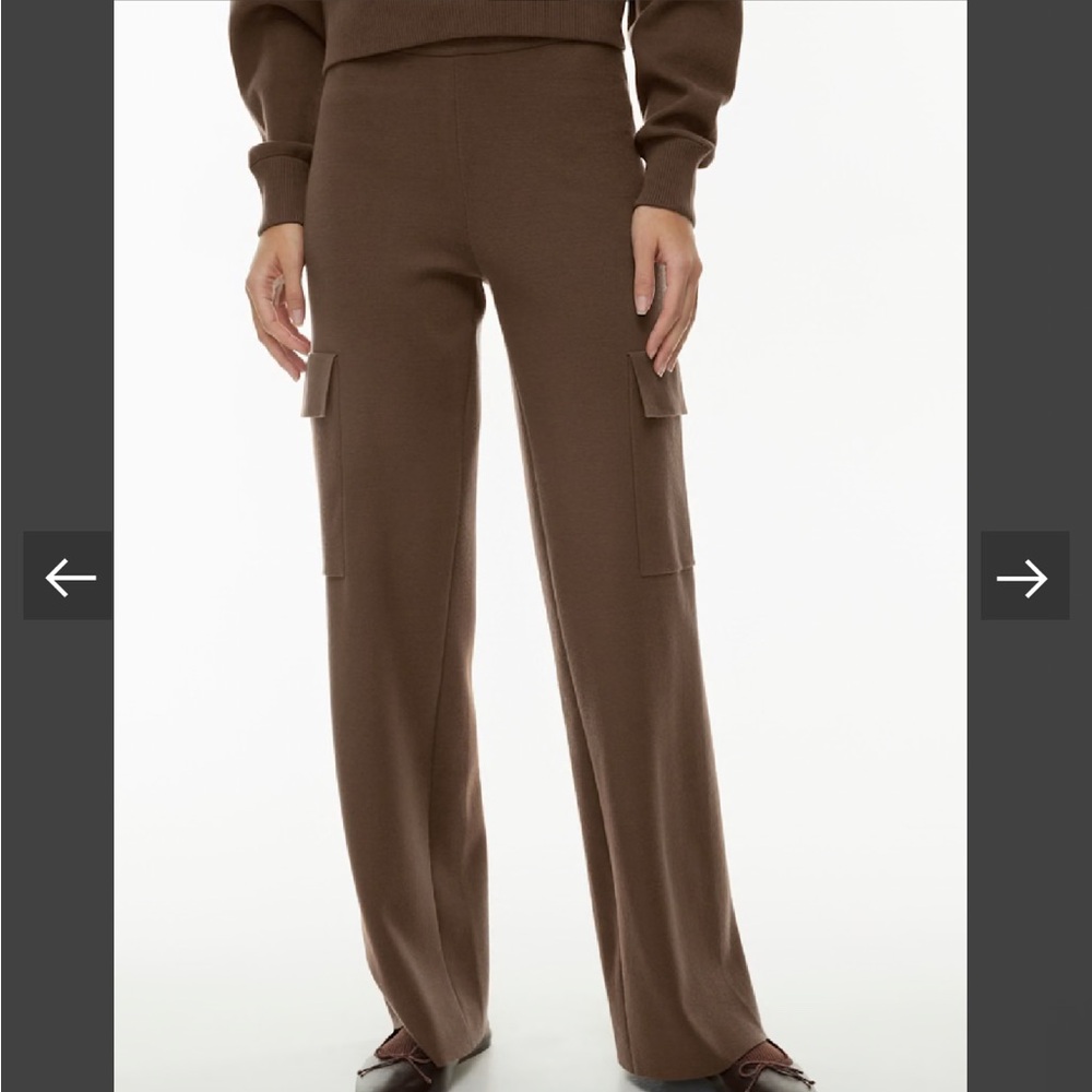 Aritzia Atlantis Cargo Pants